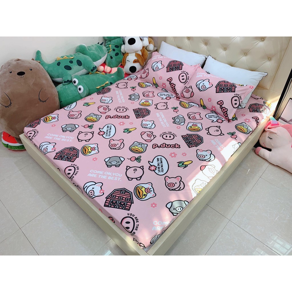 Bộ ga gối 1m6 cotton poly nhập khẩu loại 1(mẫu 03)