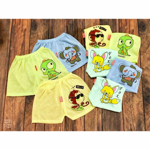 Set 10 chiếc quần đùi mỏng catter