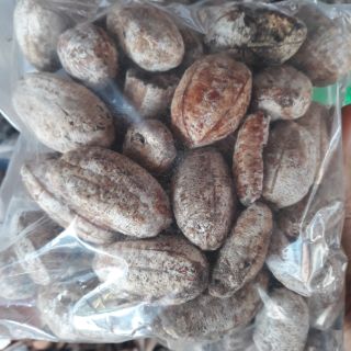 Chuối hột rừng - 1 kg