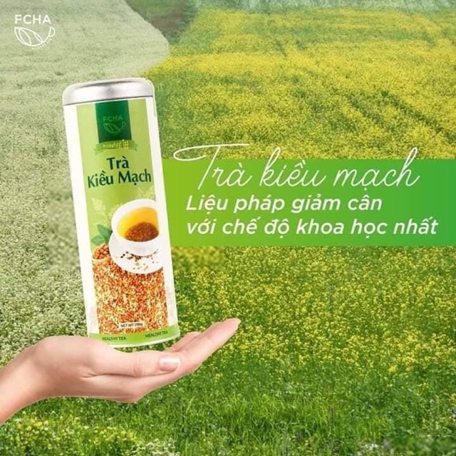 [ Quà Tặng - Free Ship]Trà kiều mạch fcha - Giảm mỡ đẹp dáng đẹp da | BigBuy360 - bigbuy360.vn
