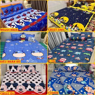 HCM Bộ ga gối poly Drap 1m6x2m mã hàng M07