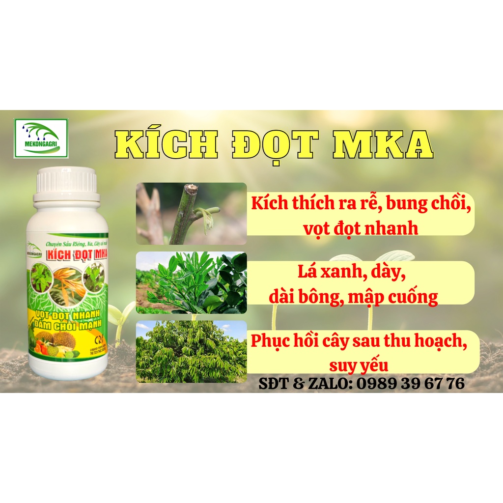 Kích đọt MKA - Chuyên Sầu riêng, Na Thái và cây có múi