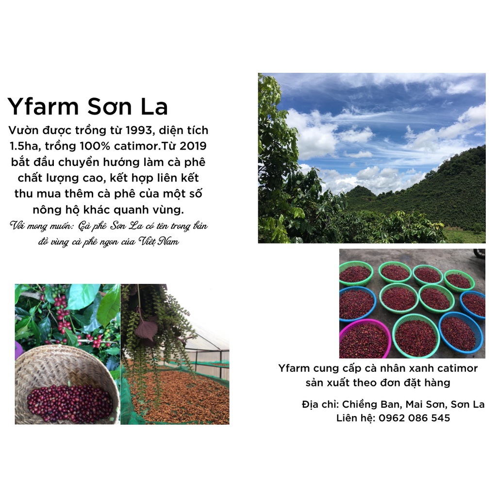Cà phê arabica Sơn La natural gói 250gram