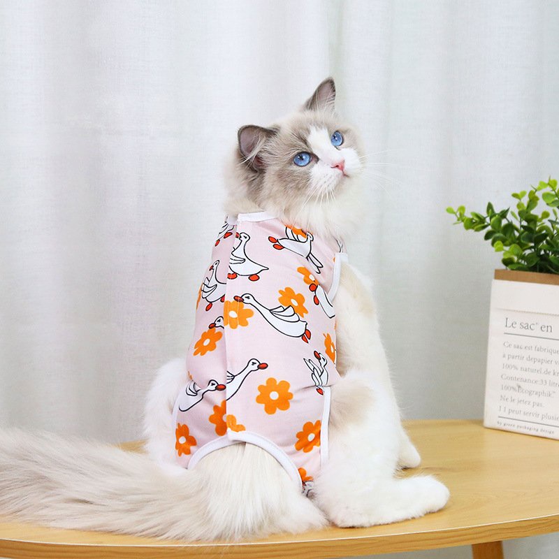 Quần áo thú cưng thời trang cho mèo size lớn nhỏ mặc mùa hè giá rẻ CANDYPETS