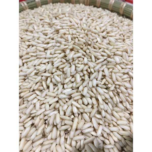 Nếp nấu cơm rượu