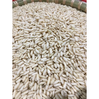 Nếp nấu cơm rượu