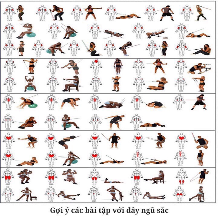 Bộ sản phẩm 5 Dây Ngũ Sắc Tập Gym - Dây Kéo Đàn Hồi Đa Năngi Kháng Lực Tập Gym , Fitness , Yoga giúp cơ bắp săn chắc