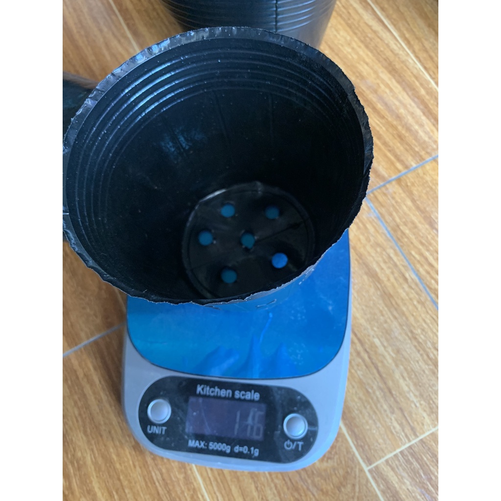 BẦU ƯƠM CÂY 16*14 DÀY VÀ MỎNG ( DỊCH TRUYỀN CHO CÂY, KÍCH RỄ , MẦM CÂY XANH LÁ, LƯỚI CHE NẮNG...)