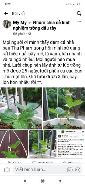 0,5lít đạm cá hữu cơ mix trái cây có phân bón tặng kèm