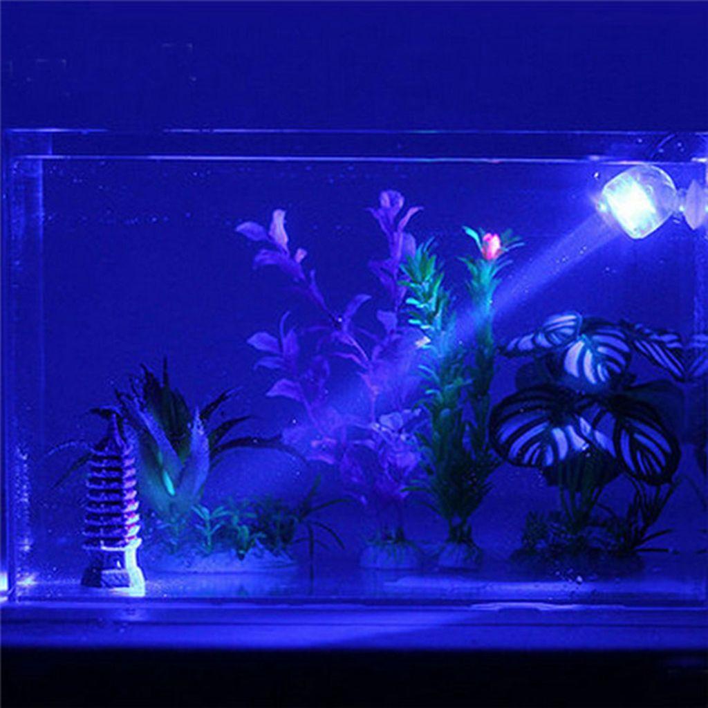 Đèn LED DANILO 1W 1W Tiết Kiệm Năng Lượng Cho Bể Cá