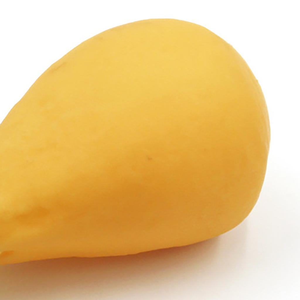 Đồ Chơi Gặm Hình Đùi Gà Độc Đáo Cho Thú Cưng