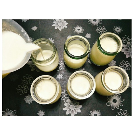 Hũ thủy tinh làm sữa chua, Hũ làm sữa chua bằng thủy tinh có nắp kèm hoạt tiết | BigBuy360 - bigbuy360.vn