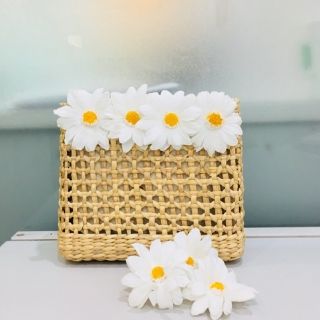 Hoa cúc hoa mi trắng