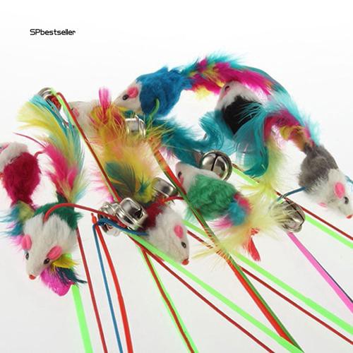 Đồ Chơi Tương Tác Vui Nhộn Độc Đáo Cho Mèo Cưng