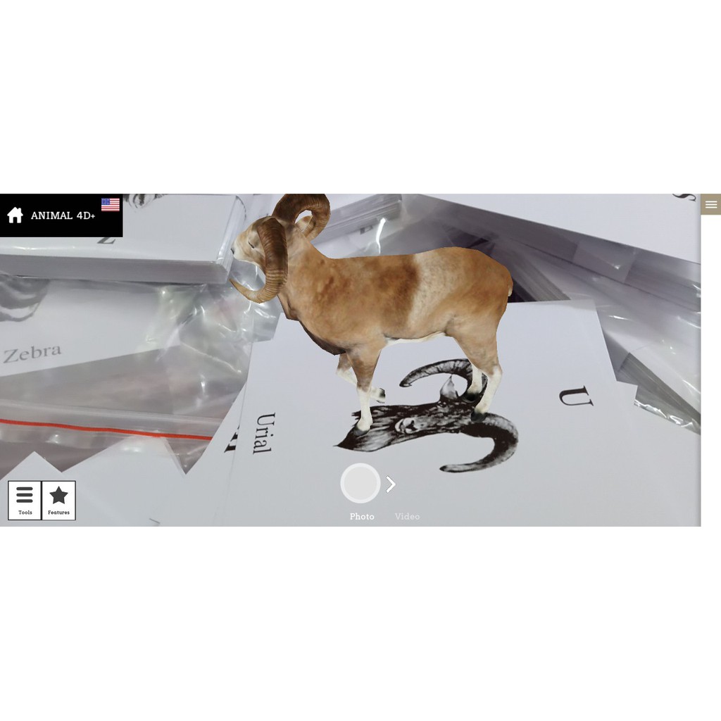 Bộ 22 thẻ học thông minh animal 4D