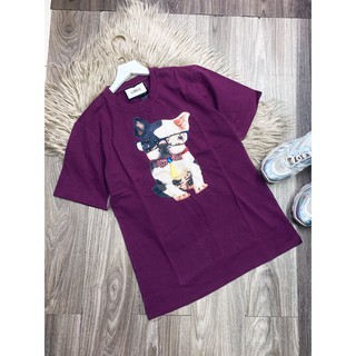 áo thun cotton 4 chiều cao cấp