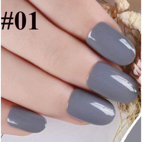 BỘ GEL SƠN 6 LỌ CHK6Y4