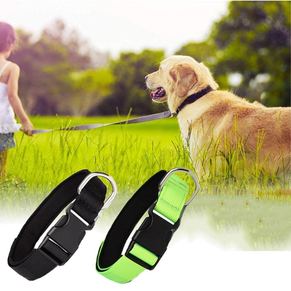 Vòng Cổ Nylon Nhiều Màu Sắc Dành Cho Thú Cưng Cỡ Vừa Và Lớn