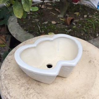 Chậu Sứ Trồng Sen Đá Hình Tim Đôi