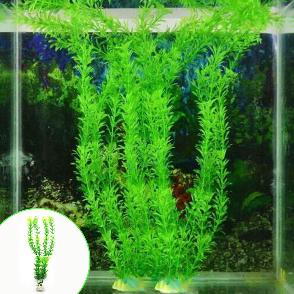 Tiểu cảnh trang trí hồ cá, bể cá cảnh side lớn
