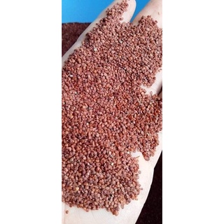 Hạt ngũ hoa 100gr đắp mặt hết mụn trắng trẻo, mịn màng