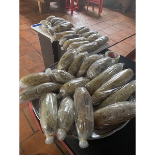 Mậy ong ruồi nguyên tổ(500g)