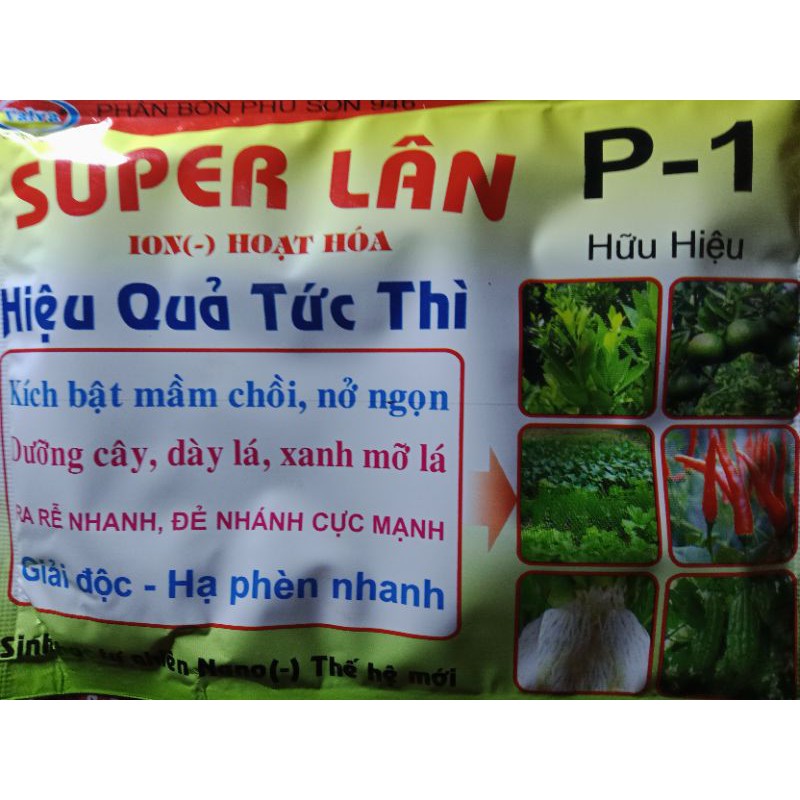 super lân-hiệu quả tức thì kích bật mầm hoa