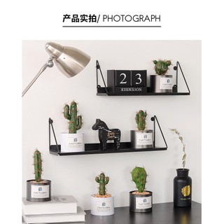 Cây xương rồng