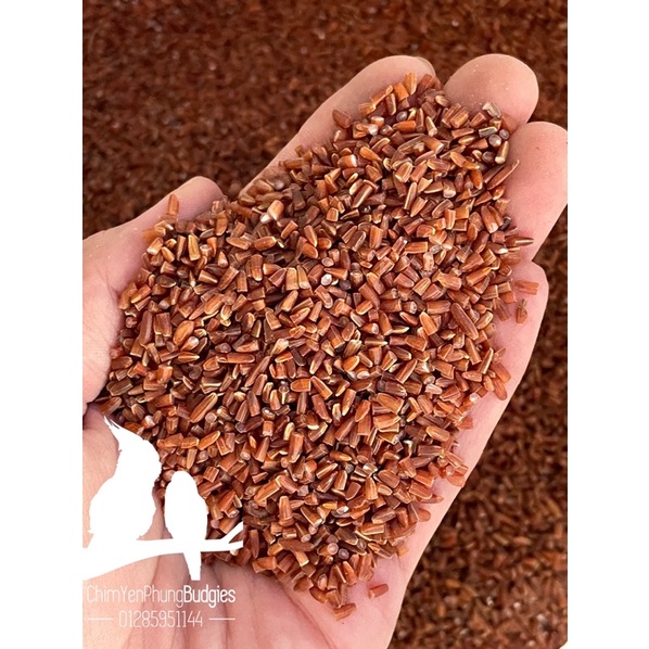 1kg gạo đỏ bể (tấm bể)