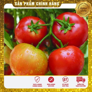-15k Combo rau củ thu đông 2018