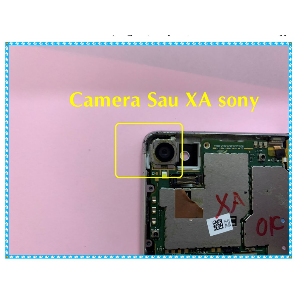 Camera sau XA Sony | WebRaoVat - webraovat.net.vn