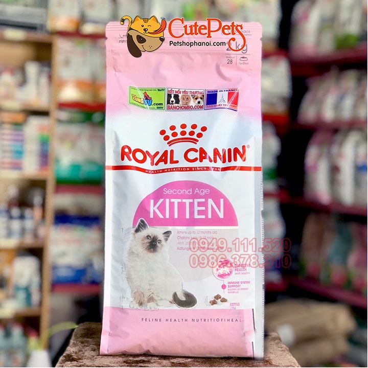 Thức ăn cho mèo, Hạt Royal Canin mèo con Kitten 36 túi hãng 2kg - Phụ kiện thú cưng Hà Nội