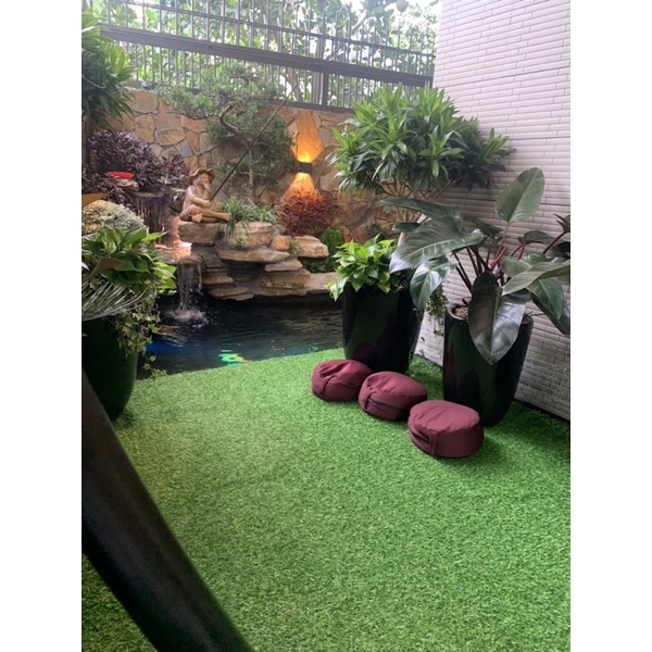 Men Vi Sinh Hồ Koi Bio Fish Koi