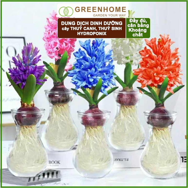 Bộ 2 Dung dịch thủy sinh Lavamix, chai 500ml, trồng hoa Sen, hoa Súng, cây thuỷ sinh, thuỷ canh |Greenhome