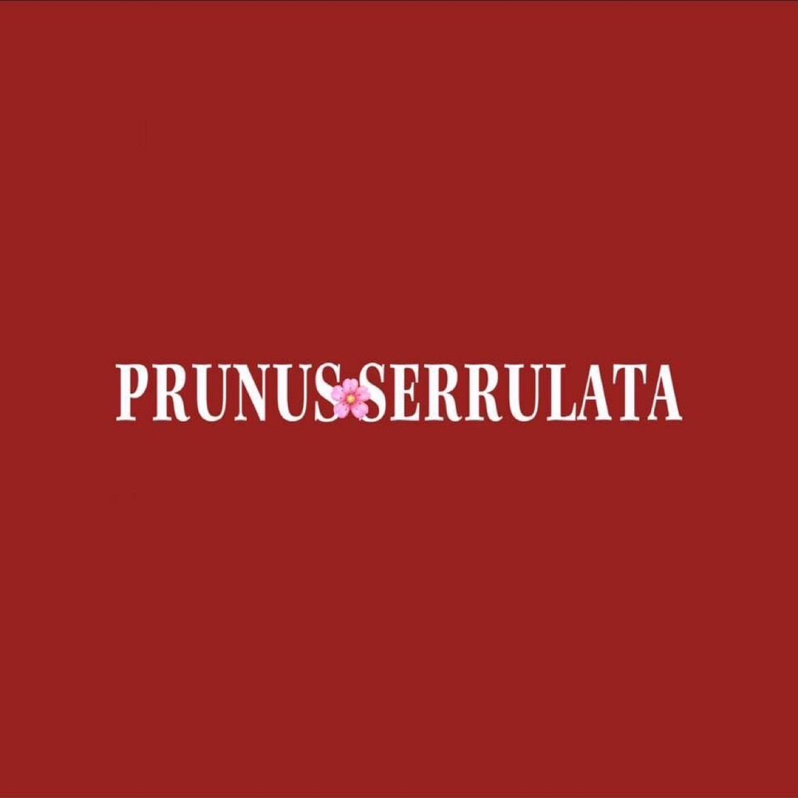 PRUSR.CLOSET