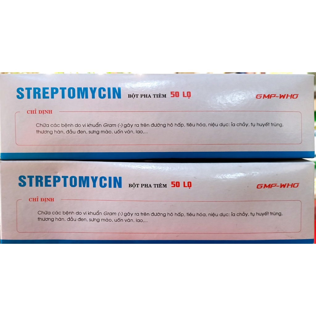 STREPTOMYCIN 1g hanvet Bột pha dùng cho động vật. Hộp 50 lọ