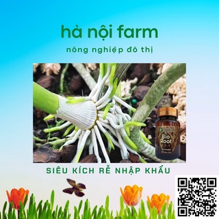 Bio Root MỸ kích rễ cực mạnh - 100ml