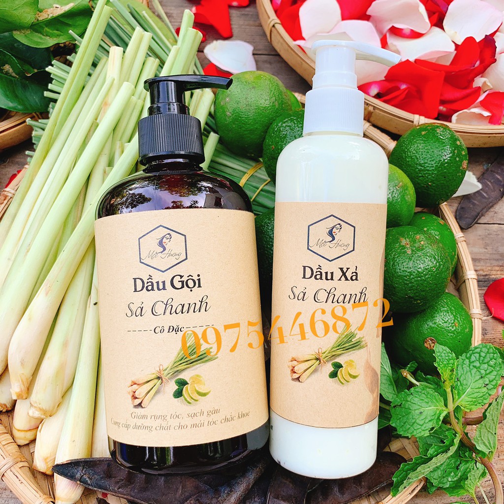 DẦU XẢ ORGANIC SẢ CHANH MỘC HƯƠNG - THIÊN NHIÊN