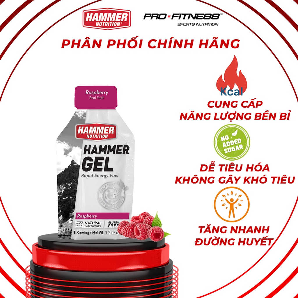 Gel năng lượng chạy bộ Hammer Nutrition tốt cho hệ tiêu hóa - Bổ sung năng lượng bền bỉ khi vận động thể thao (Gói 33g)