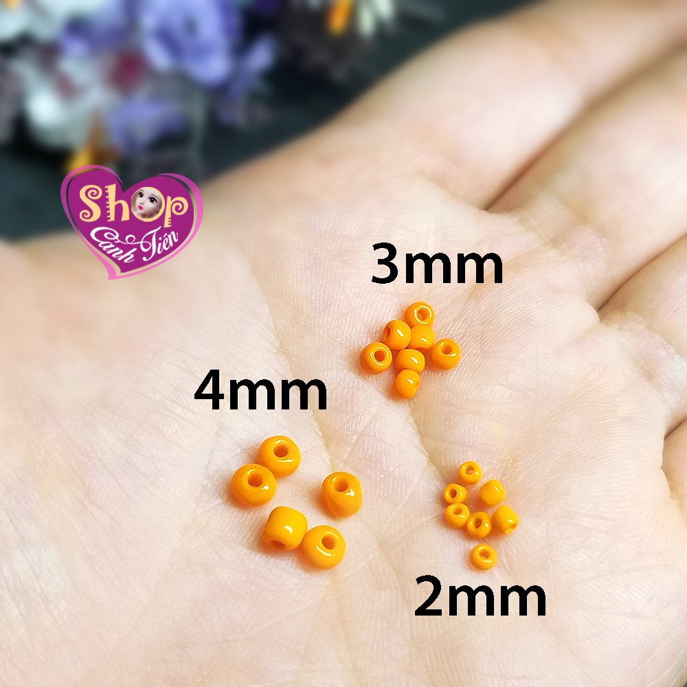 Gói 50gr (Khoảng 3.000 hạt) Cườm đục đủ màu cỡ trung 2mm, 3mm - Nguyên liệu làm đồ Handmade Giá Tốt