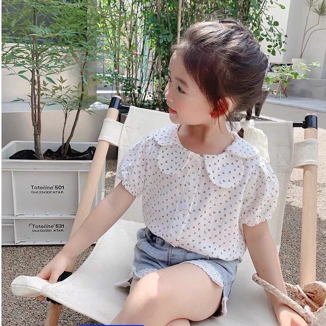 Bộ quần áo, Sét ÁO ĐŨI HOA + QUẦN BÒ, QUẦN JEAN phối ren cho bé gái 8-22kg