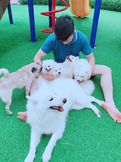 Sữa tắm cho chó lông trắng Sleeky