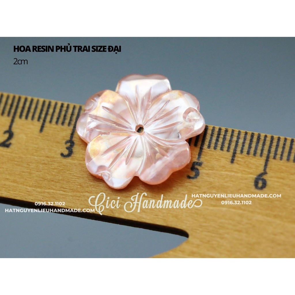 túi 5 Hoa resin phủ trai size 2 cm nguyên liệu hoa tai DIY