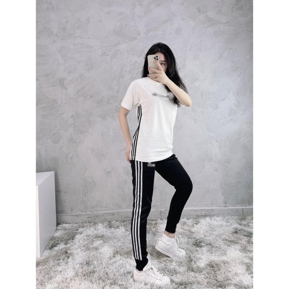 P [BANHMIDEN] [Tee Shirt] Outlinear White [HÌNH MẪU SHOP CHỤP] - Áo Thun Trắng Sọc Kẻ Hông Đen -