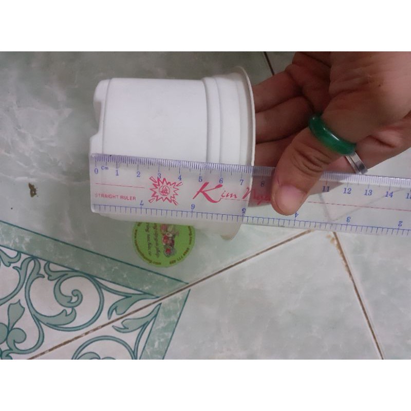 Chậu Nhựa Pp  Ươm Cây, Trồng sen, Trồng Hoa, Chất Lượng Cao, Miệng Vành Cứng