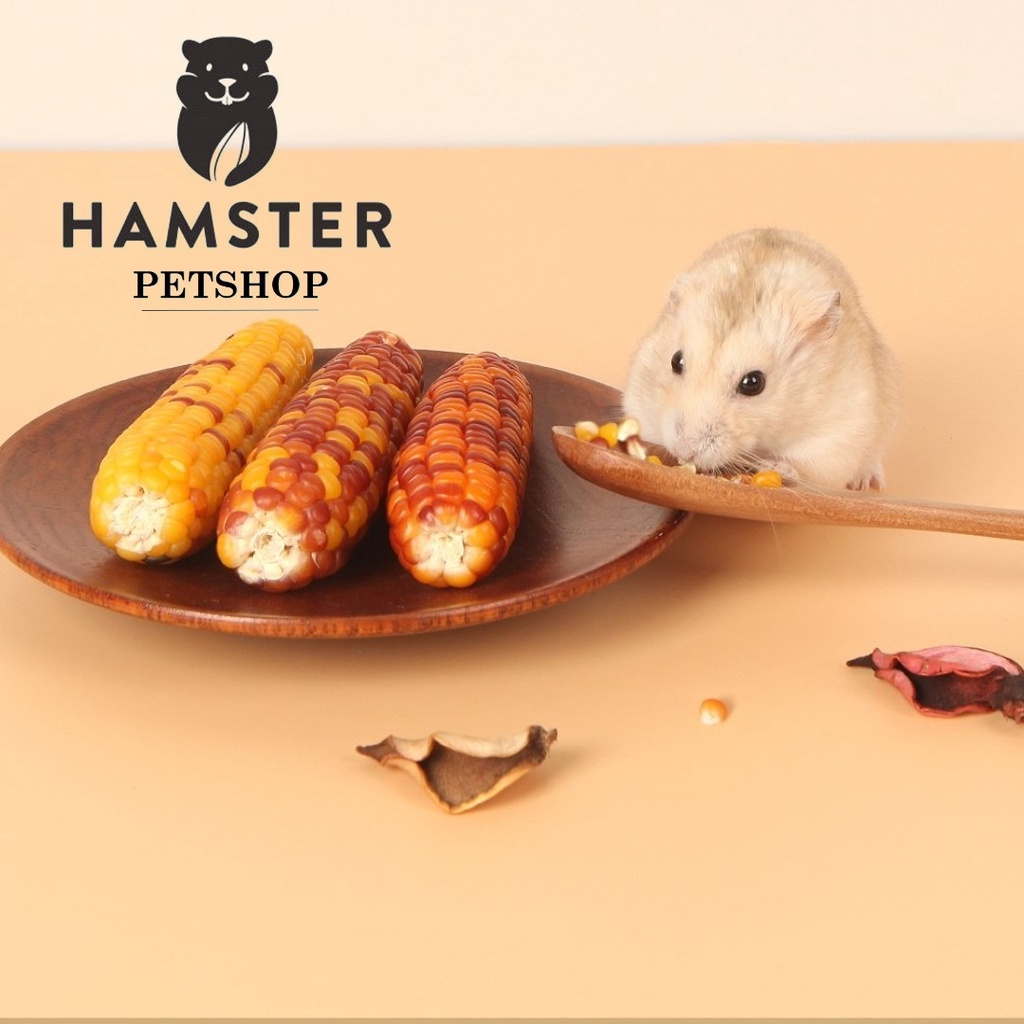 Bắp/Ngô sấy khô nguyên quả ăn dặm kiêm mài răng cho Hamster, Thỏ, Bọ, Sóc, Chó...