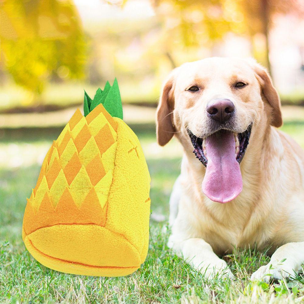 Thảm Đồ Chơi Phát Ra Âm Thanh Vui Nhộn Hỗ Trợ Giáo Dục Cho Thú Cưng