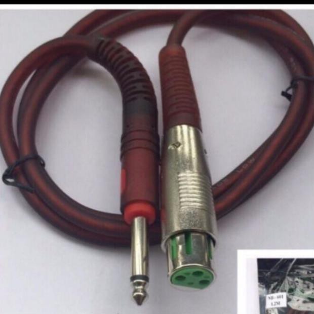 RẮC 6LY RA CANON DÀI 1M