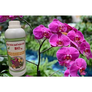 Dịch trùn quế đậm đặc chai 500ml/1000ml