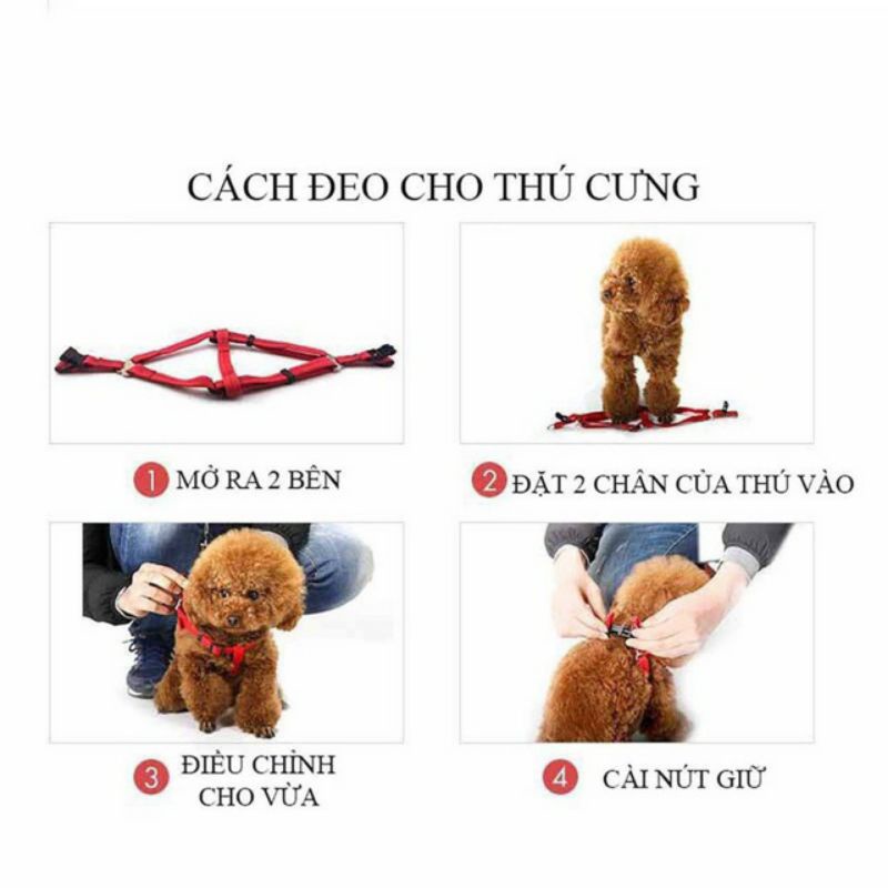 DÂY DẮT CHÓ MÈO,VÒNG CỔ CHÓ MÈO NHỎ